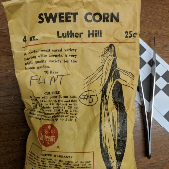 Seed packet artifact bags