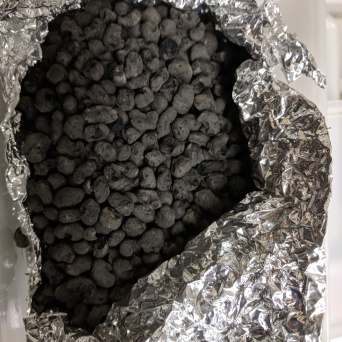 Carbonized maize -- our favorite kind of ecofact.